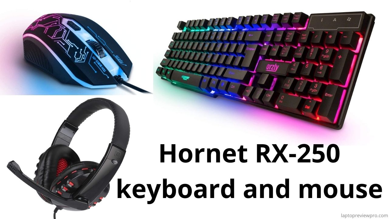 Hornet RX-250 keyboard and mouse